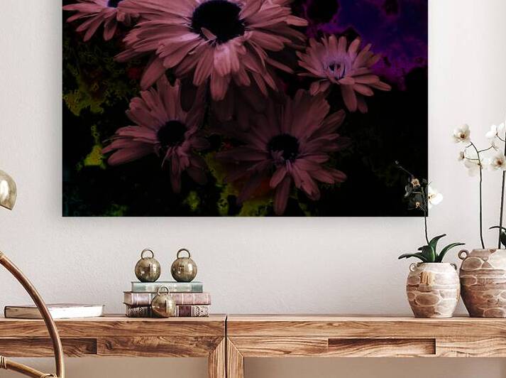 Abstract Deep Purple Daises  by Catriona Roberts Nature Photography and Designs