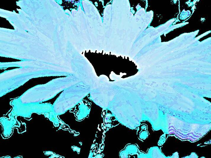 Abstract Daisy in Blue by Catriona Roberts Nature Photography and Designs