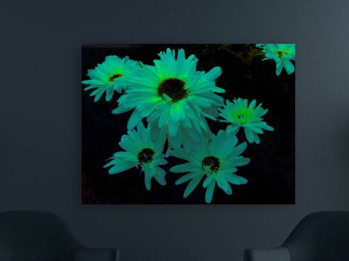 Abstract Green and Blue Daises by Catriona Roberts Nature Photography and Designs