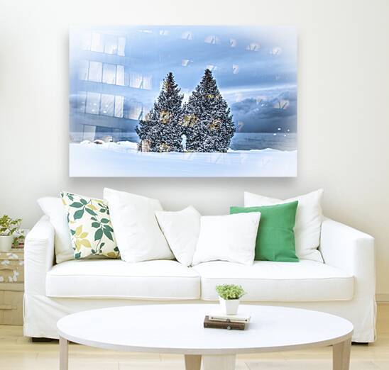 Frigid Trees by Eden Remme Watt