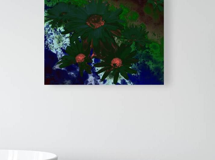 Abstract  Green Daises by Catriona Roberts Nature Photography and Designs