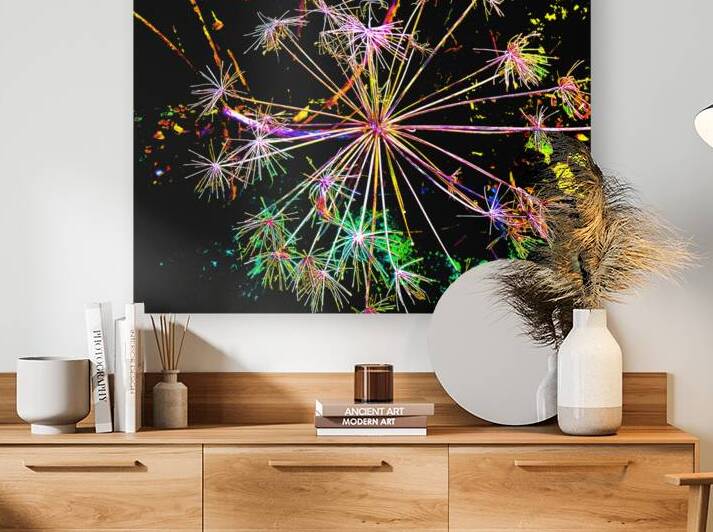  Abstract Colourful Angelica in the Evening by Catriona Roberts Nature Photography and Designs