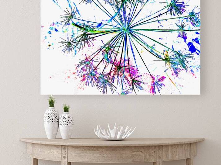 Abstract Colourful Angelica in the Morning by Catriona Roberts Nature Photography and Designs