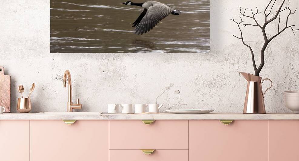 17 151 bernaches by Martin Bernier