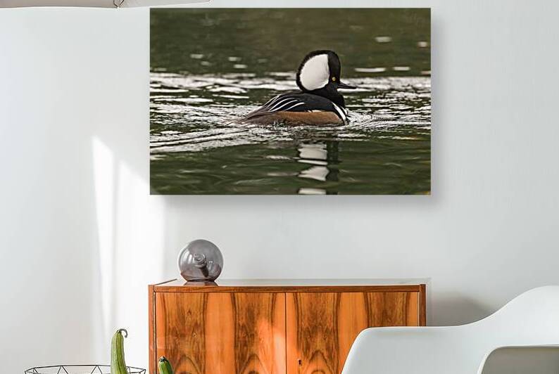 17 143 Harle couronne by Martin Bernier