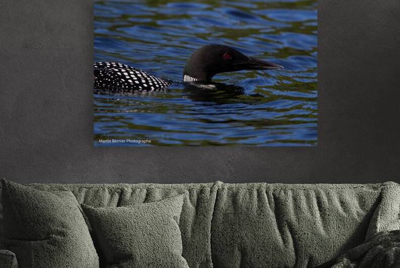 17 128 Huard by Martin Bernier