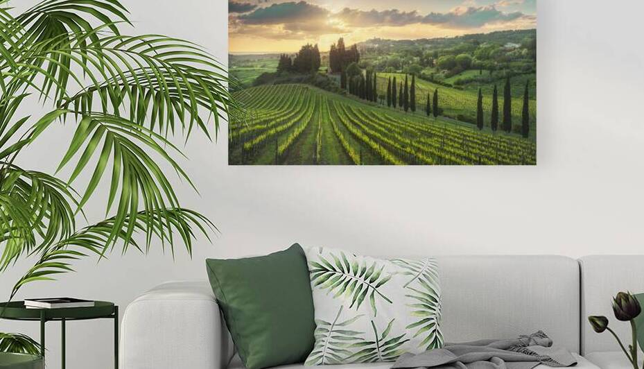 Golden sunset over Tuscan vineyards by Stefano Orazzini