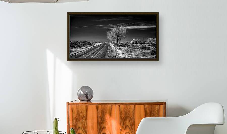 Ethereal encounters: a monochrome journey through Dawson NM by Dream World Images