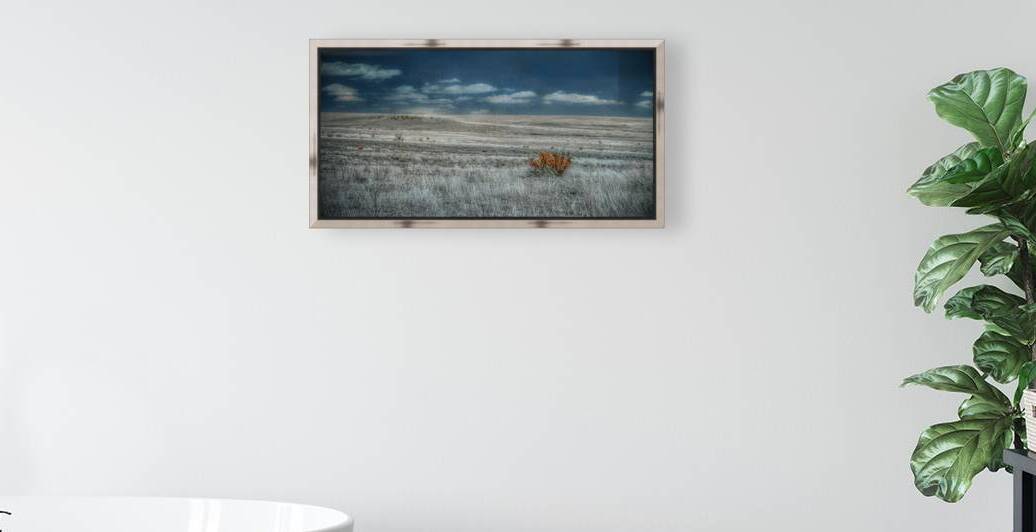 Solitary Flame Under Azure Canopy by Dream World Images