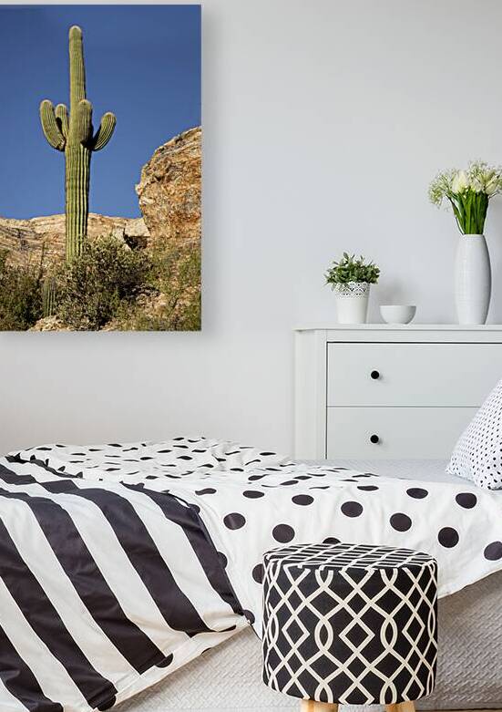 Proud Saguaro - Saguaro National Park - Tucson Arizona by Mike Lee