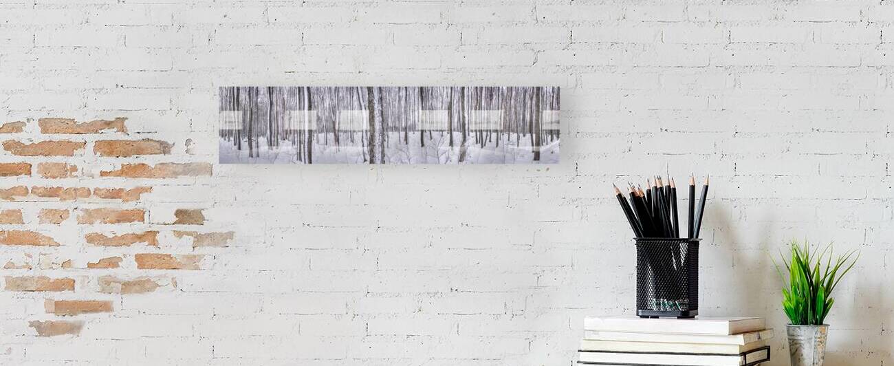 Winter Trees by Eden Remme Watt