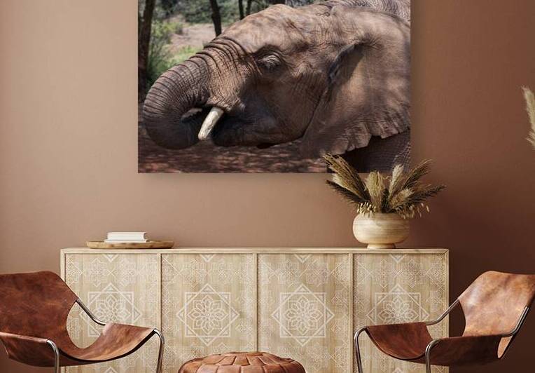 Orphaned elephants rehab center Sheldrick wildlife by Randy Roy Photography