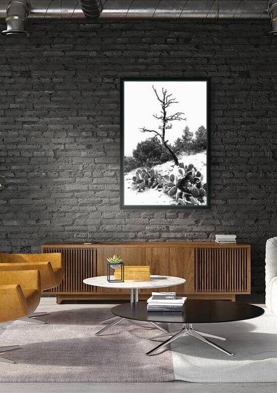 Desert Resilience in Black and White: Sedona Arizona by Shallowshark