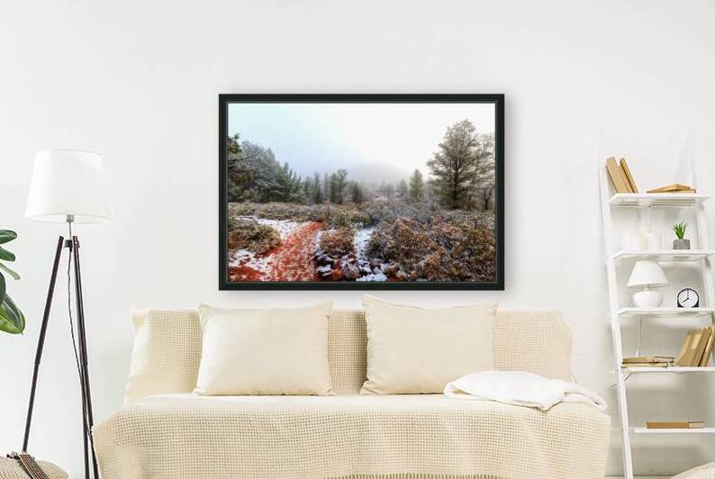 Winter Pathway Through Sedona’s Red Rocks by Shallowshark