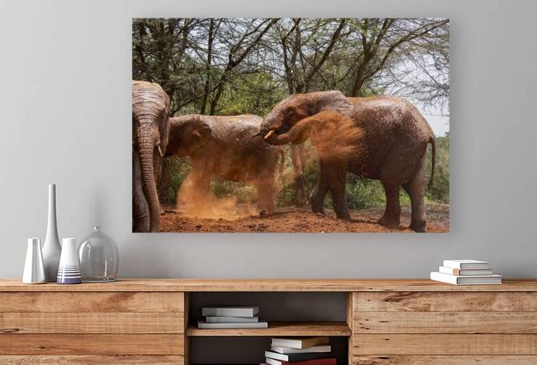 Orphaned elephants rehab center Sheldrick wildlife by Randy Roy Photography