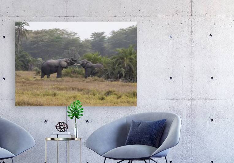  Elephants Amboseli National Park Kenya by Randy Roy Photography