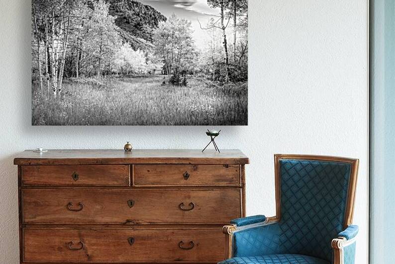 Snowmass Aspen Splendor 1 by Norma Brandsberg Photography