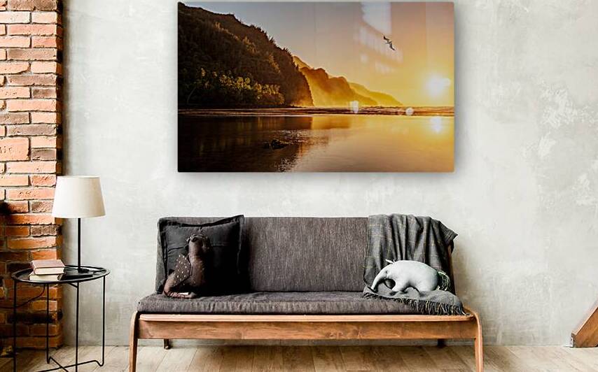 Misty sunset on Na Pali coastline with bird by Steve Heap