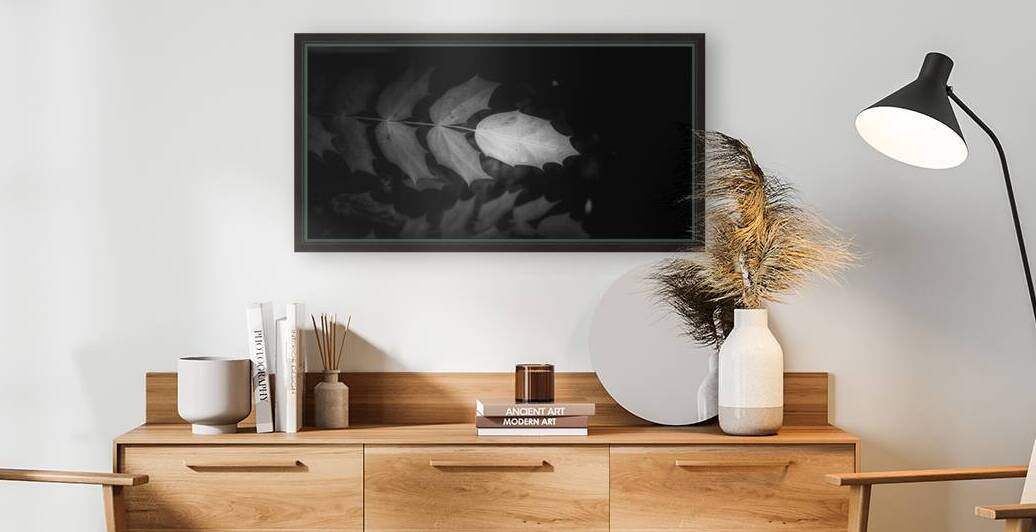 Spotlight on Natures Simplistic Beauty by Dream World Images