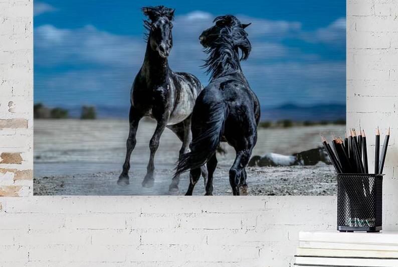 BZ9 4565 Enhanced NR by Susan Lynn Cooke