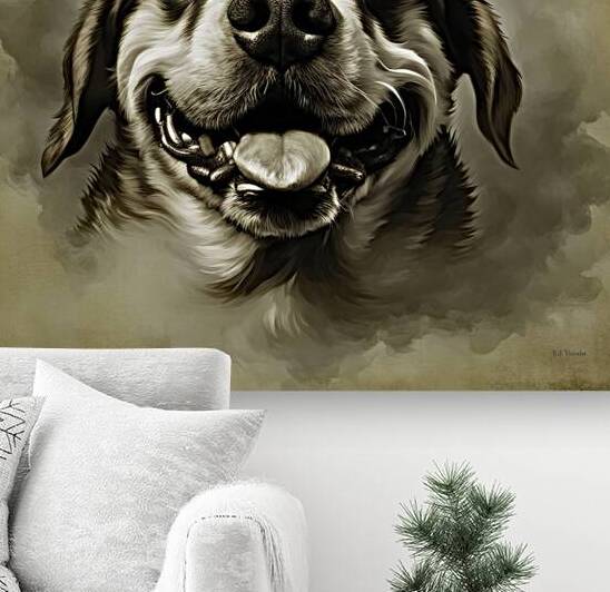 BROWN EYES by Digicam