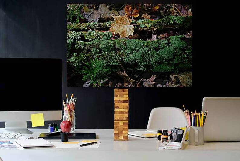 The Greens Of Fall In The Forest by Deb Oppermann