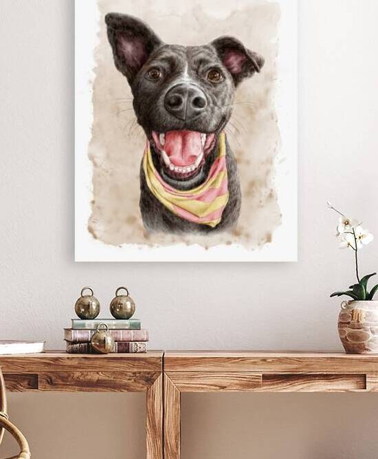 Cute happy smiling dog portrait by Kevin Miller Photography