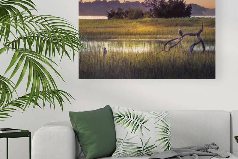 Hilton Head Wetlands Marsh by Norma Brandsberg Photography