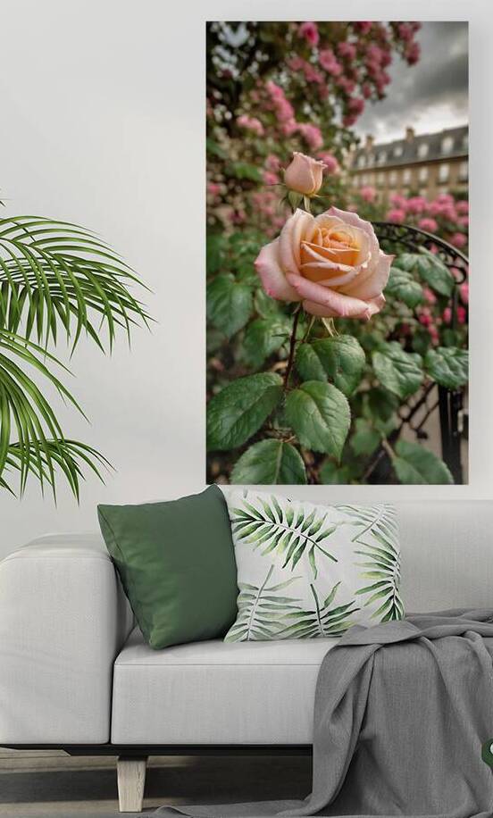 A Rose in Paris  7 by The Mabazza Foundation 