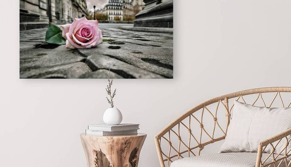 A Rose in Paris  10 by The Mabazza Foundation 