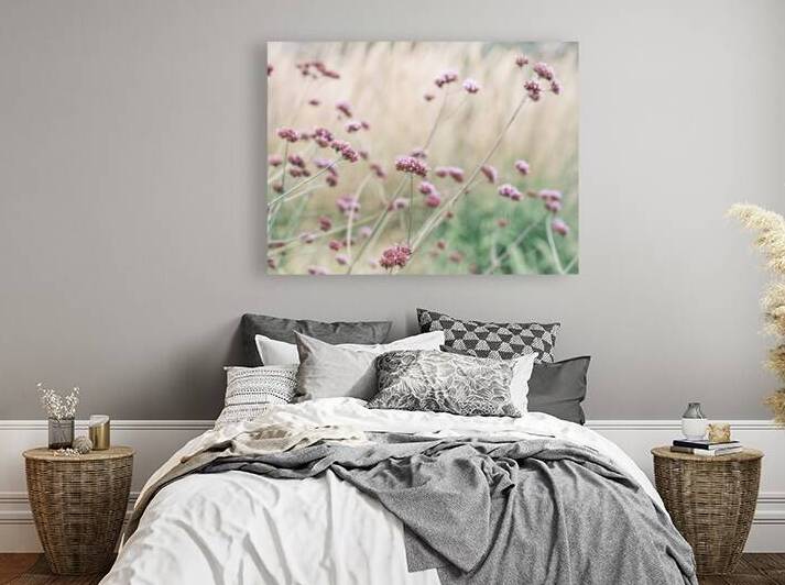 Soft Pink Field Bliss by Assaf Frank