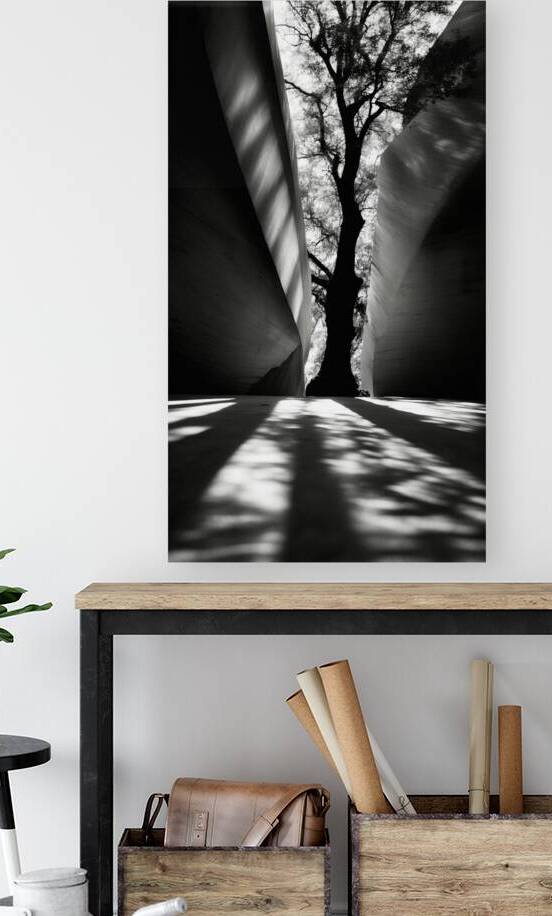 A Series of Black and White Prints Exploring the Depth of Human Existence 1 by The Mabazza Foundation 