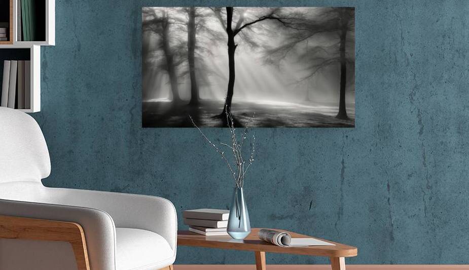 A Series of Black and White Prints Exploring the Depth of Human Existence 21 by The Mabazza Foundation 