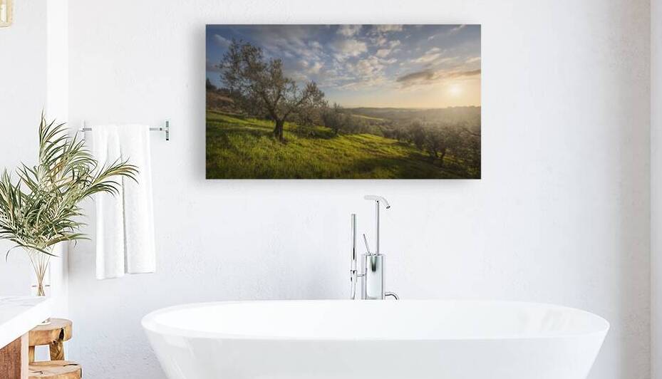 Sunset over Olive Grove in Tuscany by Stefano Orazzini