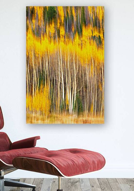 Impressions of Aspens by Andy Crawford