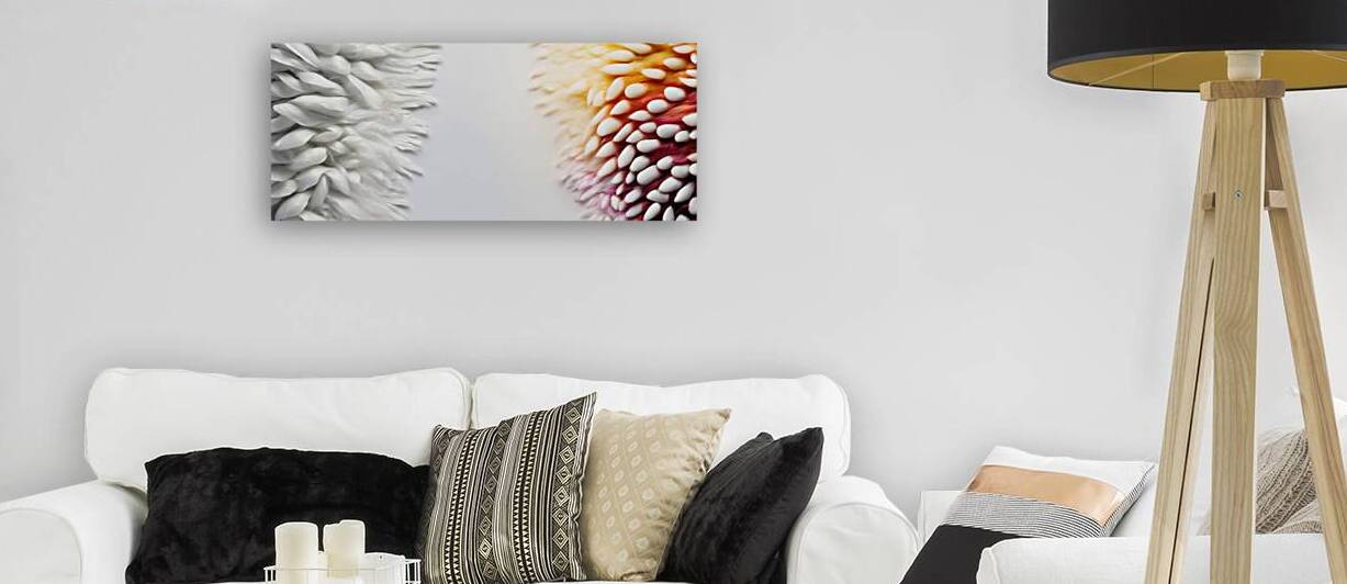 A series exploring the use of White as the primary color 23 by The Mabazza Foundation 