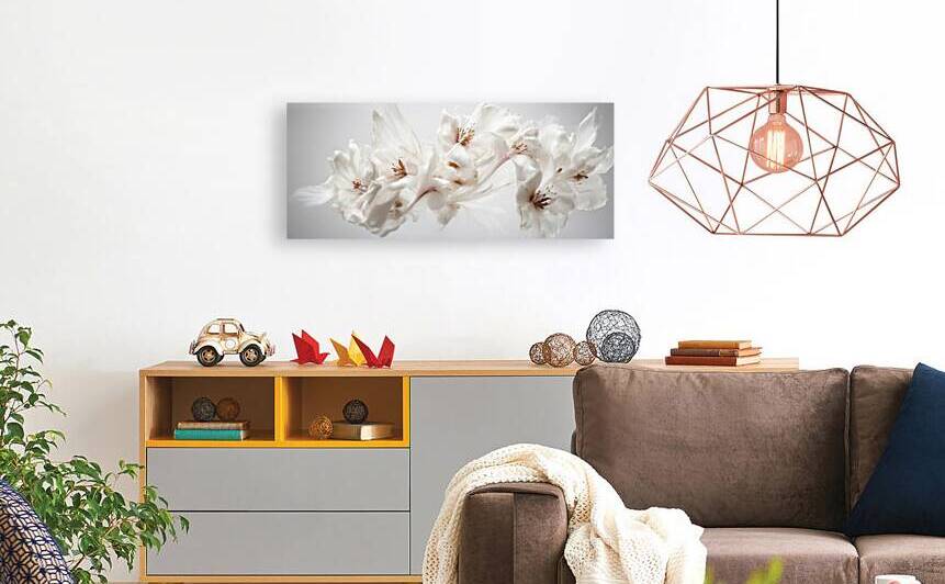 A series exploring the use of White as the primary color 37 by The Mabazza Foundation 