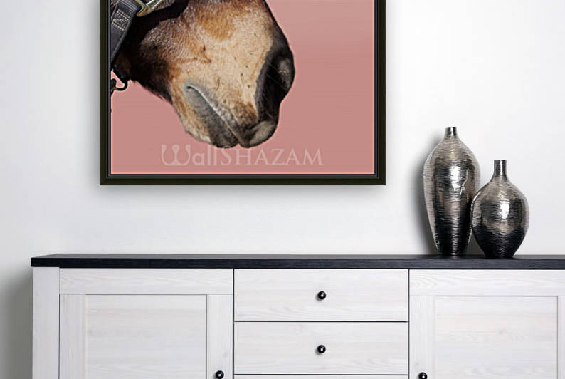 Horse with Pink by Wallshazam