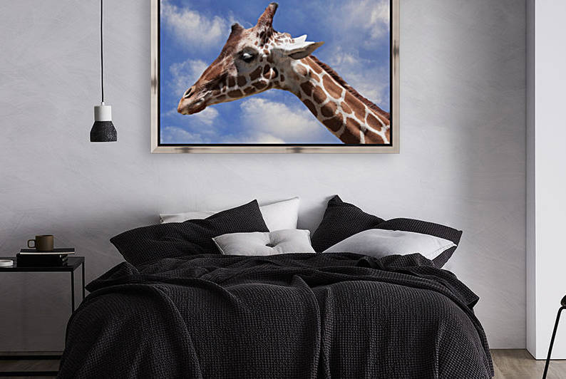 Giraffe & Sky by Wallshazam