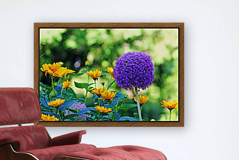 Allium And Wild Sunflowers by Deb Oppermann