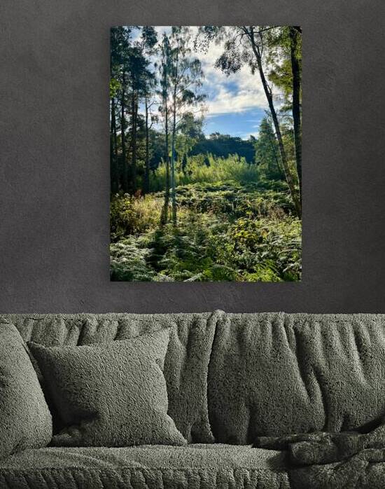 Scottish Highlands Landscape by Catriona Roberts Nature Photography and Designs