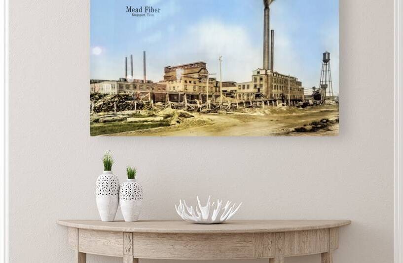 Mead Fiber Paper Mill Kingsport Tennessee by Shelia Hunt Photography