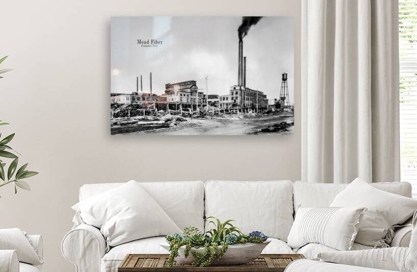 Mead Fiber Paper Mill Kingsport Tennessee Black and White by Shelia Hunt Photography