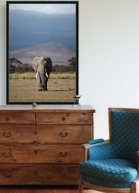 Guardian of Kilimanjaro  by Gurdyal Singh