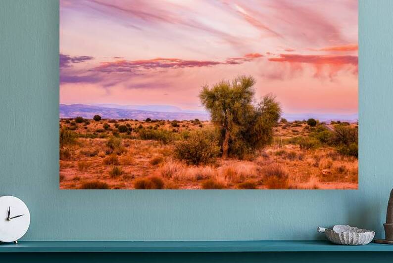 WHISPERS THROUGH THE SUNLIT CANOPY by Dream World Images