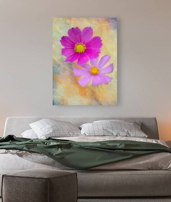 Pink Cosmos Pair by Joan Han