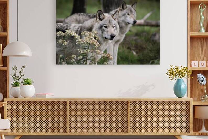 Companionship by La Scorpionne