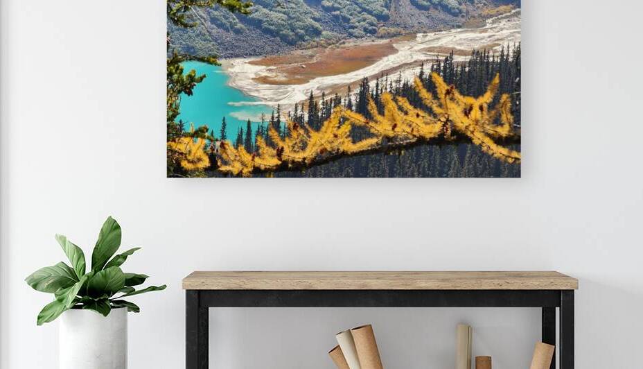 Lake Louise and Larch Trees  by Jennifer Cisneros