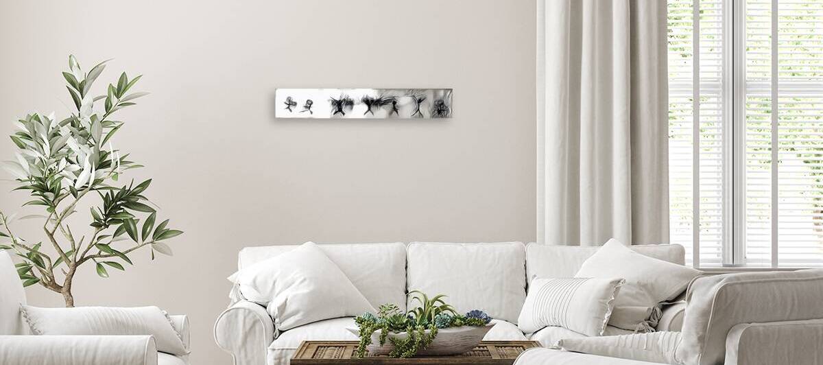 img7326752 d98a52c6ed01122a.v1 by Luciano