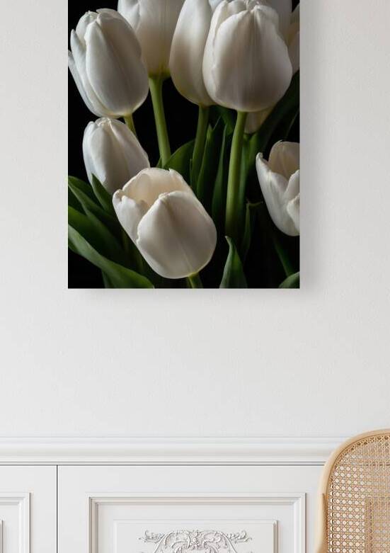White Tulips  9 by The Mabazza Foundation 